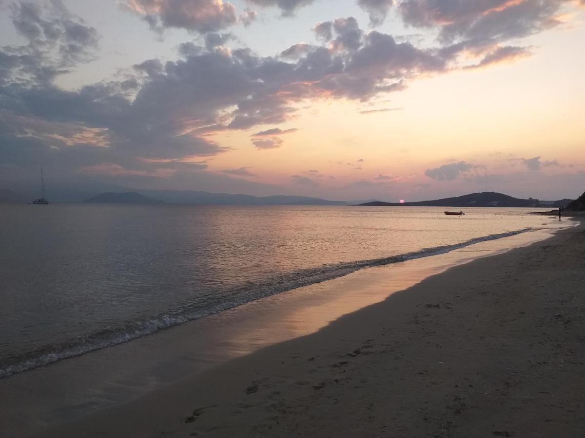 Villa Polemis Айя-Анна Экстерьер фото